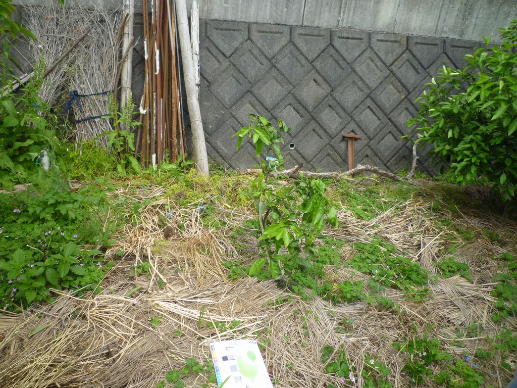 大津波に備えて【やねきハウスのリフォーム】：物置