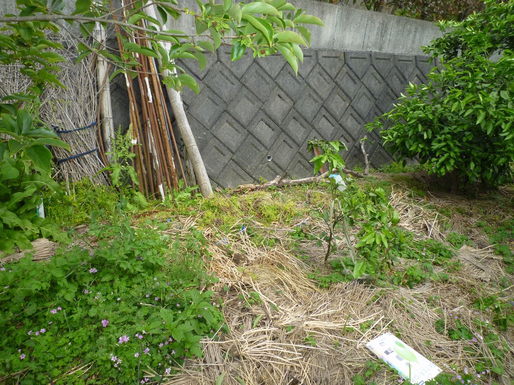 大津波に備えて【やねきハウスのリフォーム】：物置