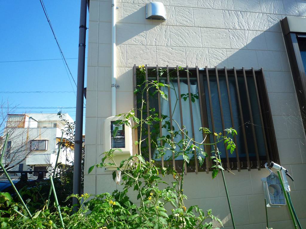 太陽光発電システム設置エコリフォーム【やねきハウスのリフォーム】：外壁