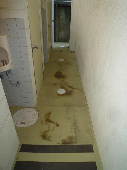 外トイレ通路及びアプローチ改修【やねきハウスのリフォーム】（リフォーム前）