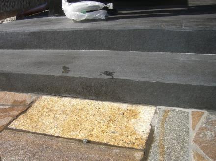 玄関ポーチ　黒御影石アク抜き後石用ワックス塗り【やねきハウスのリフォーム】（リフォーム後）