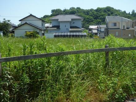 草取り工事【やねきハウスのリフォーム】（リフォーム前）