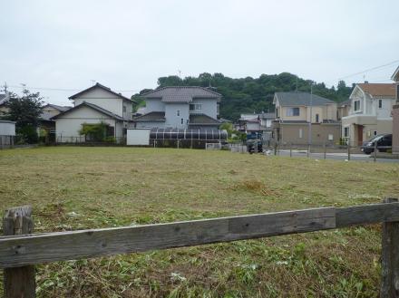 草取り工事【やねきハウスのリフォーム】（リフォーム後）