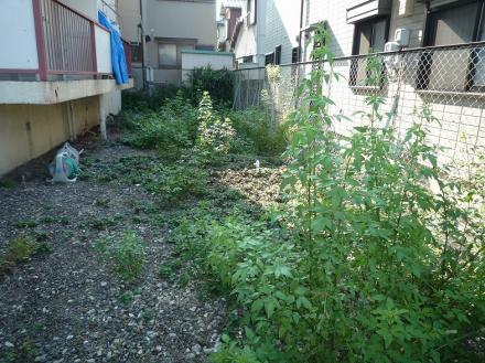 草取り工事【やねきハウスのリフォーム】（リフォーム前）