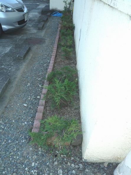 草取り工事【やねきハウスのリフォーム】（リフォーム後）