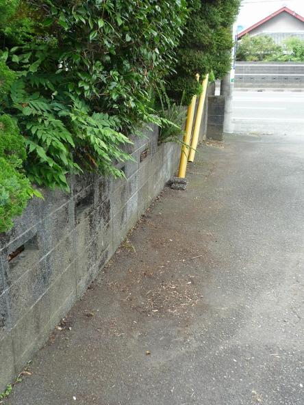 草取り工事【やねきハウスのリフォーム】（リフォーム後）