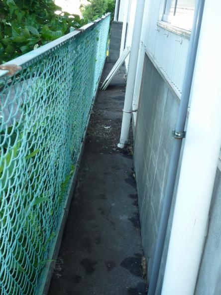 草取り工事【やねきハウスのリフォーム】（リフォーム後）