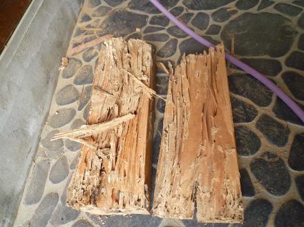 シロアリ防虫駆除及び床束交換【やねきハウスのリフォーム】（リフォーム前）