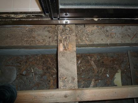 シロアリ防虫駆除及び洗面脱衣室床補修【やねきハウスのリフォーム】（リフォーム前）