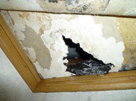 水漏れ改修【やねきハウスのリフォーム】（リフォーム前）