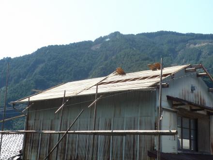 瓦屋根からカラーベスト屋根への葺き替え工事【やねきハウスのリフォーム】（リフォーム前）
